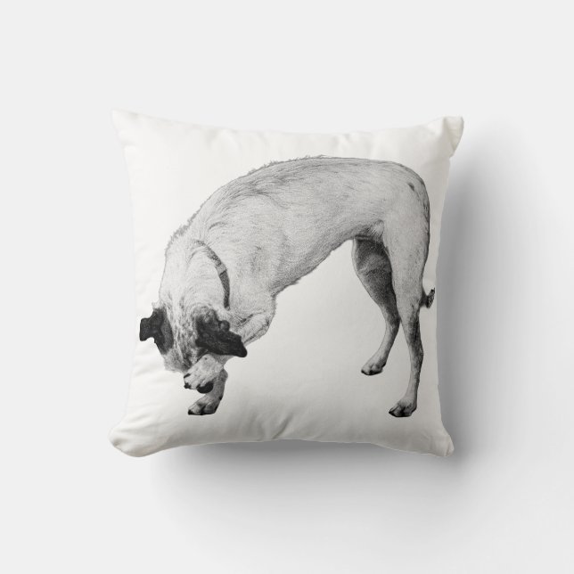 Bashful Pup, Cosy Corner Cushion (Front)