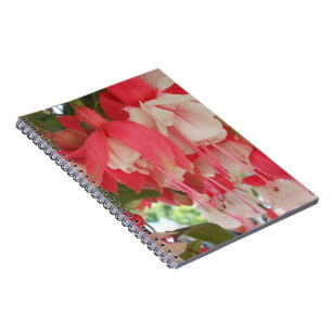 Bashkirtseff Notebook