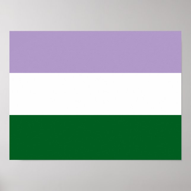Basic Genderqueer Flag Horizontal Poster  (Front)