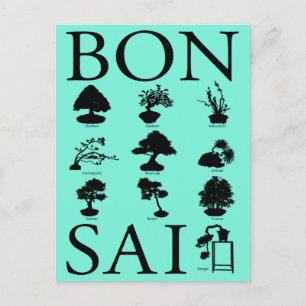 Basic Styles of Bonsai Tree Postcard