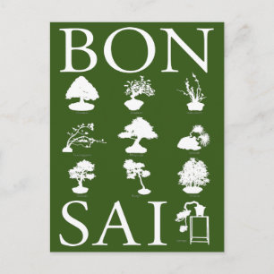 Basic Styles of Bonsai Tree Postcard