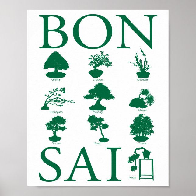 Basic Styles of Bonsai Tree Poster (Front)