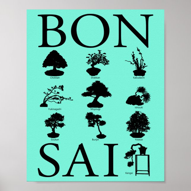 Basic Styles of Bonsai Tree Poster (Front)
