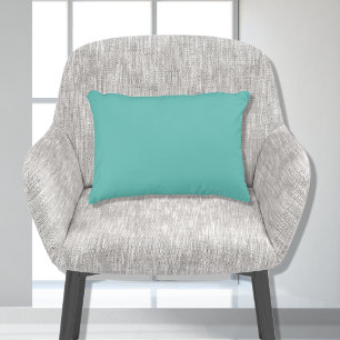 Basic Teal Aqua  Blue Solid Colour 11x16 Decorative Cushion