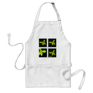 basil apron