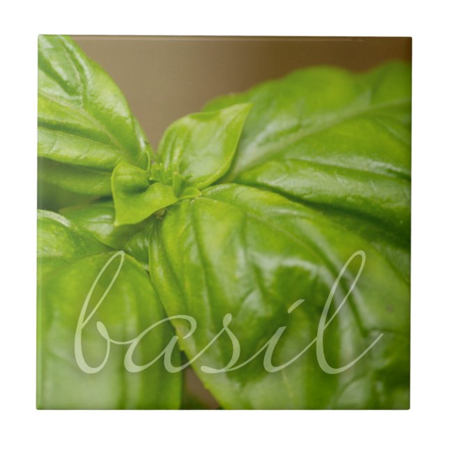 Basil decorative tile (Front)