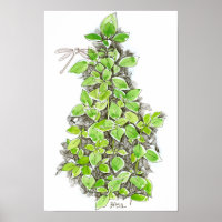 Basil Dragonfly Ink Drawing Watercolor