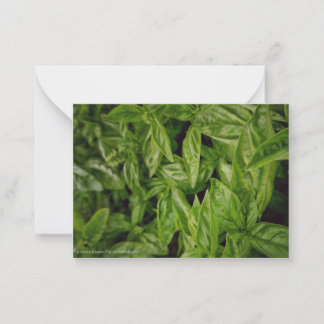 Basil Fine Art Card