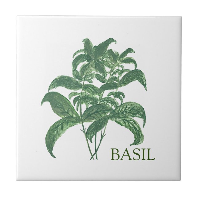 Basil Herb Greenery Kitchen Culinary Green  Ceramic Tile (Front)