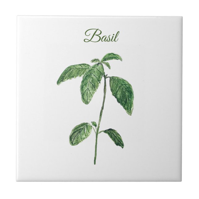 Basil Herb Greenery Kitchen Culinary Green Rustic Ceramic Tile (Front)