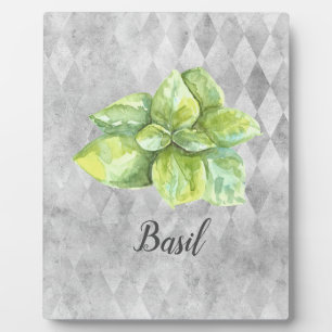 Basil Herb Watercolor Illustration Plaque