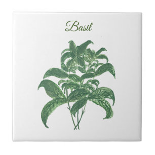 Basil Herbs Greenery Kitchen Green Plant  Ceramic Tile