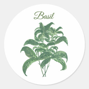 Basil Herbs Greenery Kitchen Green Plant  Classic Round Sticker
