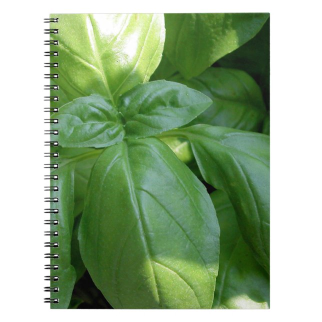 Basil Leaves Notebook (Front)