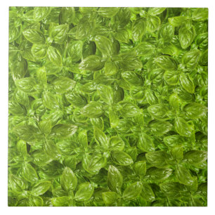 Basil Leaves Pattern Ceramic Tile
