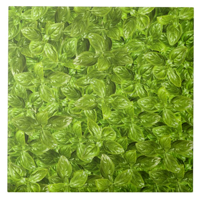 Basil Leaves Pattern Ceramic Tile (Front)