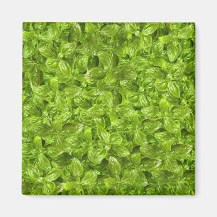 Basil Leaves Pattern Magnet