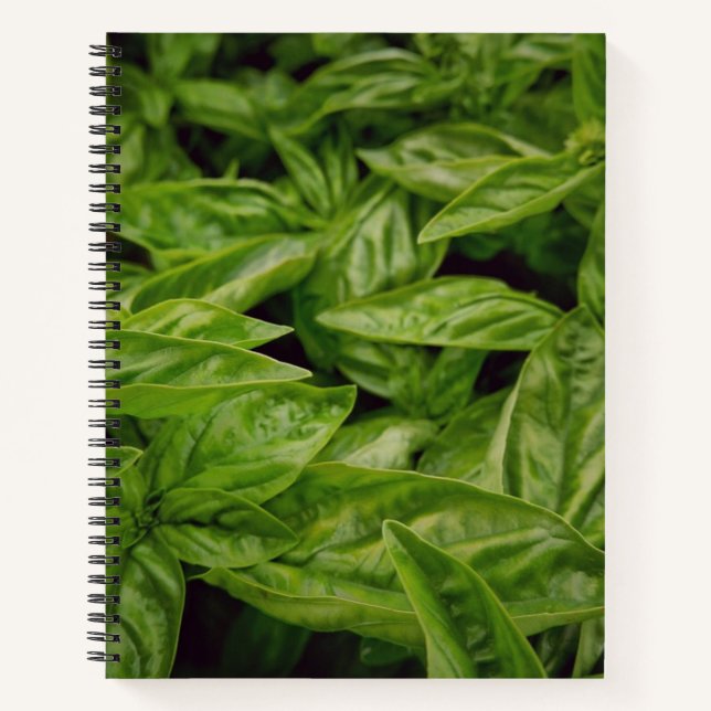 Basil Notebook (Front)