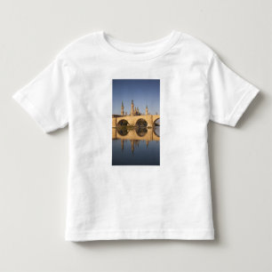 Basilica de Nuestra Senora de Pilar Toddler T-Shirt