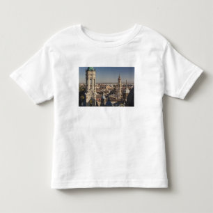 Basilica de Nuestra Senora del Pilar Toddler T-Shirt