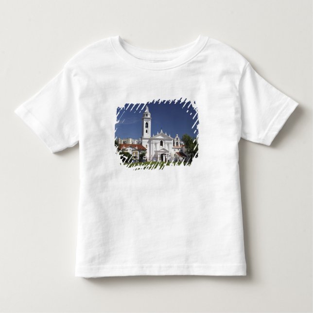 Basilica Nuestra Senora del Pilar in Recoleta Toddler T-Shirt (Front)