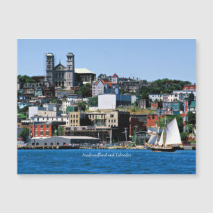 Basilica on the Shoreline in St. John's Postcard