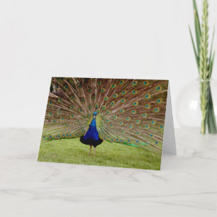 Bask in all your Glory Card