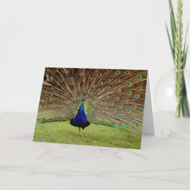 Bask in all your Glory Card (Front)