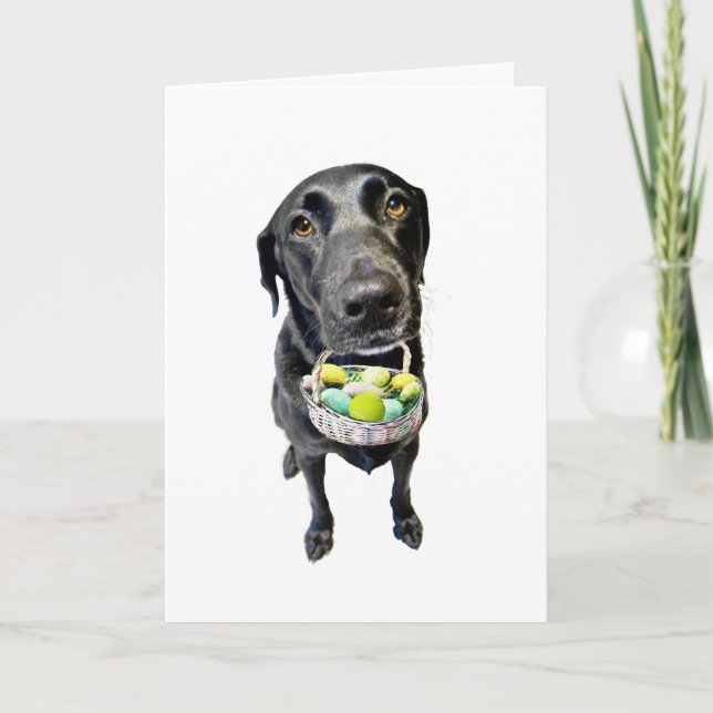 Basket Case Holiday Card (Front)