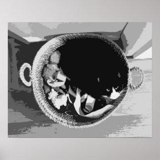 Basket Cat Poster