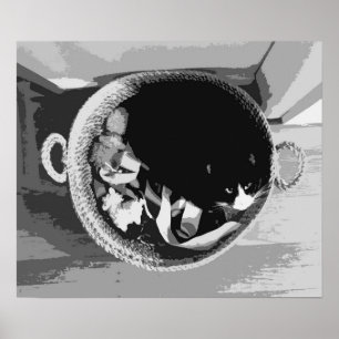 Basket Cat Poster