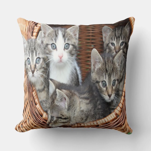 Basket Full Of Kittens Cushion (Front)