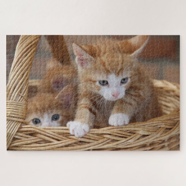 basket kittens puzzle  (Horizontal)