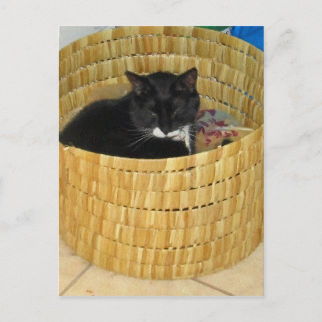 Basket Lucy Postcard (Front)