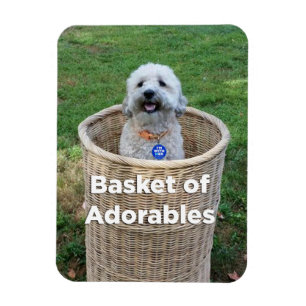 Basket of Adorables Adorable Dogs 4 Hillary Magnet