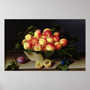 Basket of Apricots, 1634 Poster