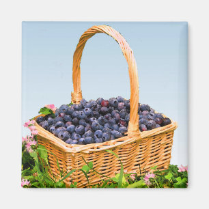 Basket of Blueberries Magnet