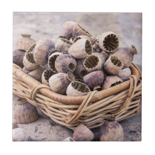 Basket of Dried Pod Poppy Seeds Ceramic Tile