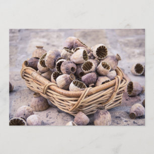 Basket of Dried Pod Poppy Seeds Invitation