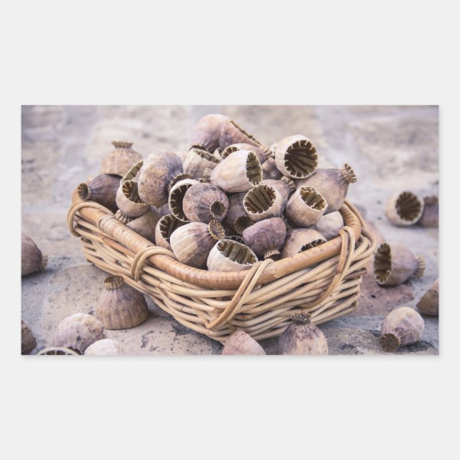 Basket of Dried Pod Poppy Seeds Rectangular Sticker (Front)