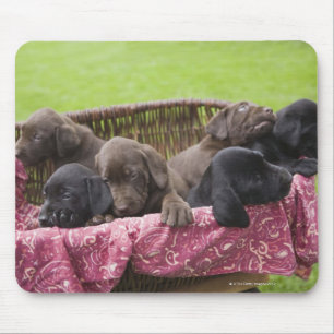 Basket of labrador retriever puppies mouse pad