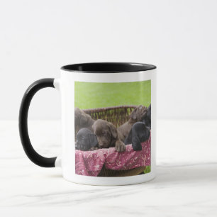 Basket of labrador retriever puppies mug
