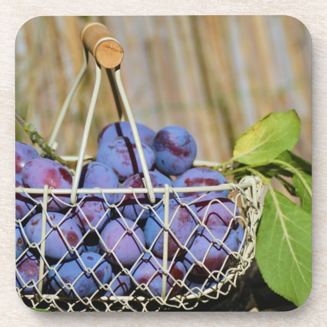 Basket of Purple Plums Coaster (Front)