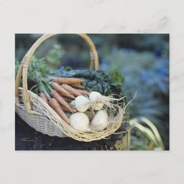 Basket of turnips and carrots, close up postcard (Front)