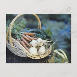Basket of turnips and carrots, close up postcard