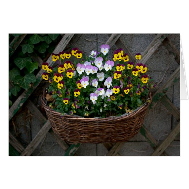 Basket With Violas (Front Horizontal)
