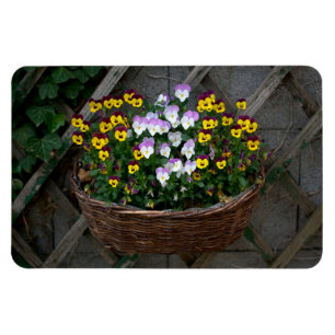 Basket With Violas Magnet
