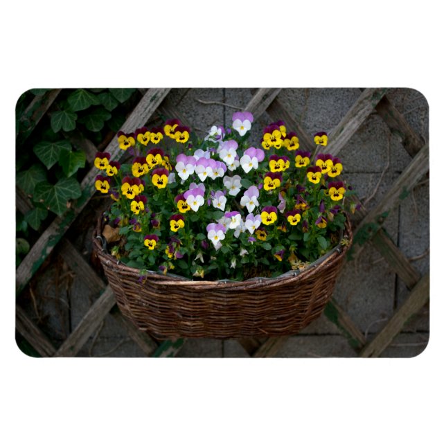 Basket With Violas Magnet (Horizontal)