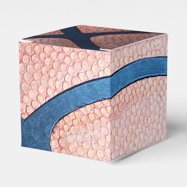 Basketball Favour Boxes (Front Side)