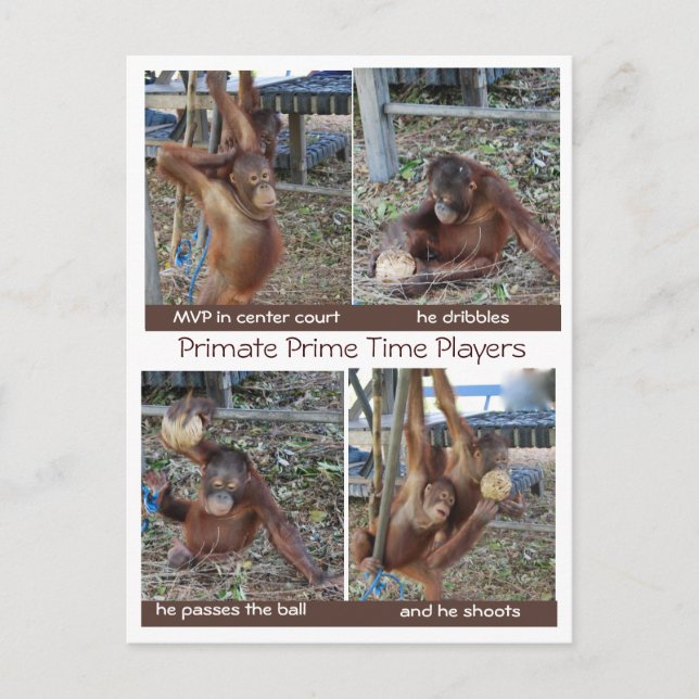 Basketball MVP Hoop Jokes Postcard (Front)